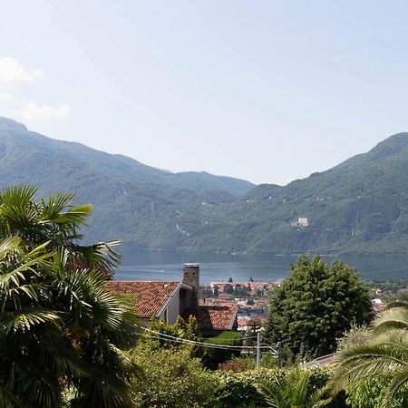 Mamma Ciccia Holiday Home - Mountains & Lake Mandello del Lario Zewnętrze zdjęcie