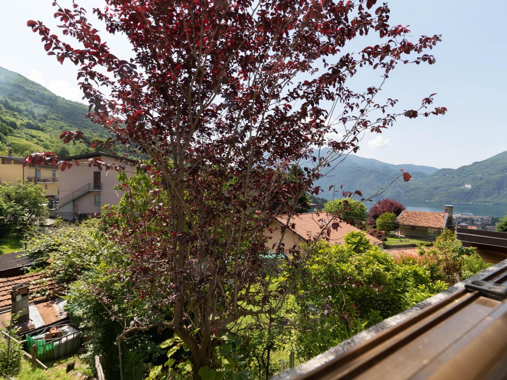 Mamma Ciccia Holiday Home - Mountains & Lake Mandello del Lario Zewnętrze zdjęcie